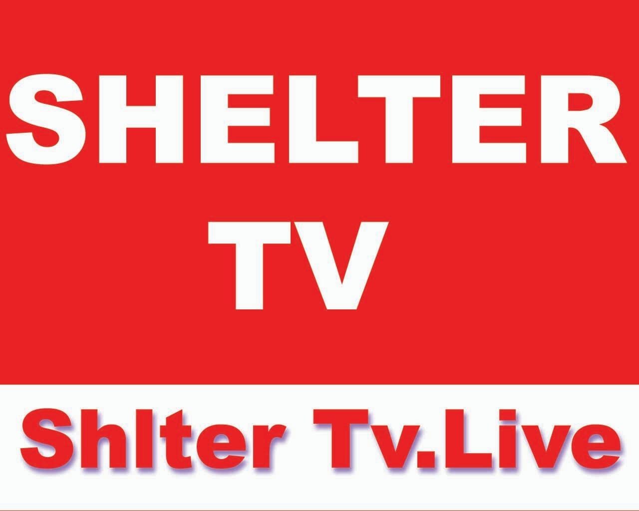 شلٹر ٹی وی